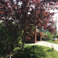 фото из отзыва ID 1589204