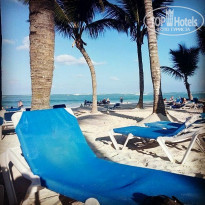 фото из отзыва ID 1584142