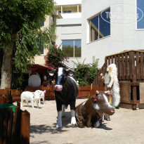 фото из отзыва ID 1589425