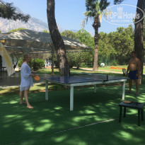 фото из отзыва ID 1589569