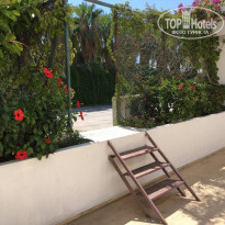 фото из отзыва ID 1589713