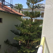 фото из отзыва ID 1589769