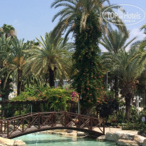 фото из отзыва ID 1589769