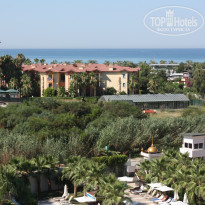 фото из отзыва ID 1589774