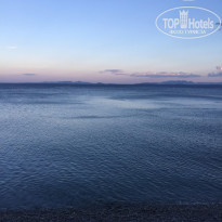 фото из отзыва ID 1589873