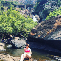 фото из отзыва ID 1589875