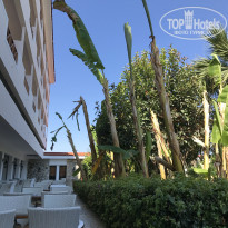 фото из отзыва ID 1589942