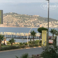 фото из отзыва ID 1589383