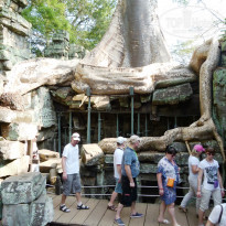 фото из отзыва ID 1585102