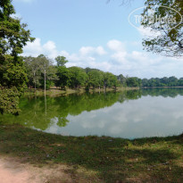 фото из отзыва ID 1585102