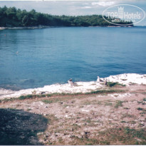 фото из отзыва ID 1589573