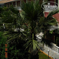 фото из отзыва ID 159958