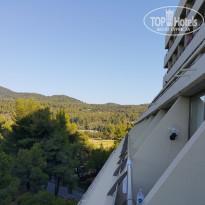 фото из отзыва ID 1590117