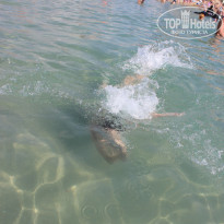 фото из отзыва ID 1590131