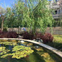 фото из отзыва ID 1590136