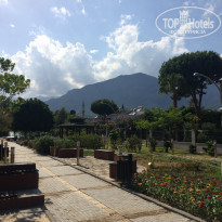 фото из отзыва ID 1590136