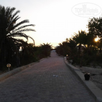 фото из отзыва ID 1590155