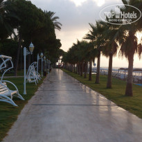 фото из отзыва ID 1590333