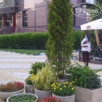 фото из отзыва ID 1590566