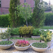 фото из отзыва ID 1590566