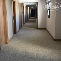 фото из отзыва ID 1590582