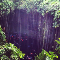 фото из отзыва ID 1590682