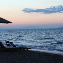 фото из отзыва ID 1590958