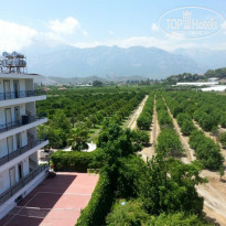 фото из отзыва ID 1591028