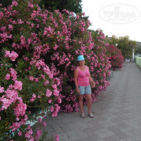 фото из отзыва ID 1591113