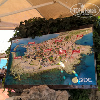 фото из отзыва ID 1591230