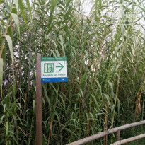 фото из отзыва ID 1591334