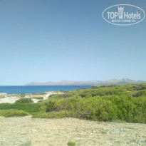 фото из отзыва ID 1591334