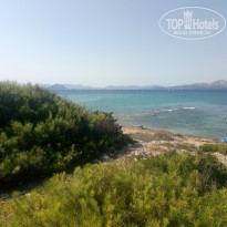 фото из отзыва ID 1591334