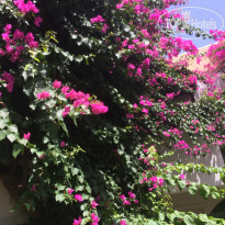 фото из отзыва ID 1591373