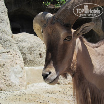 фото из отзыва ID 1591480