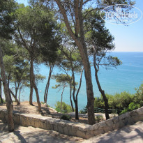 фото из отзыва ID 1591480