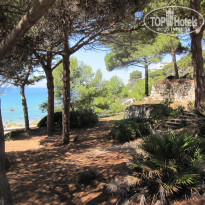 фото из отзыва ID 1591480