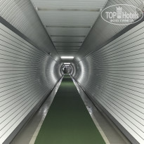 фото из отзыва ID 1591541