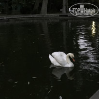 фото из отзыва ID 1591541