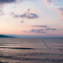 фото из отзыва ID 1591578