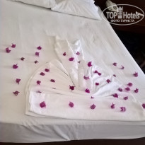 фото из отзыва ID 1591614