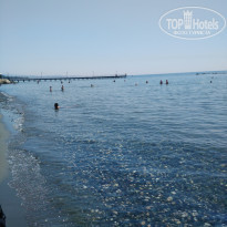 фото из отзыва ID 1591717