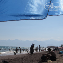 фото из отзыва ID 1591767