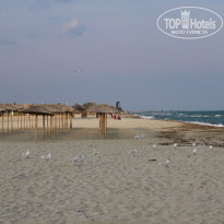 фото из отзыва ID 1591772