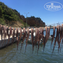 фото из отзыва ID 1591883