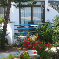 фото из отзыва ID 1592000