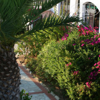 фото из отзыва ID 1592000