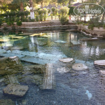 фото из отзыва ID 1591950