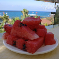 фото из отзыва ID 1591950