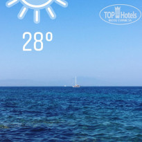 фото из отзыва ID 1592071